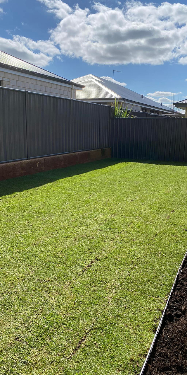 new-lawn-installs New Lawn Installers